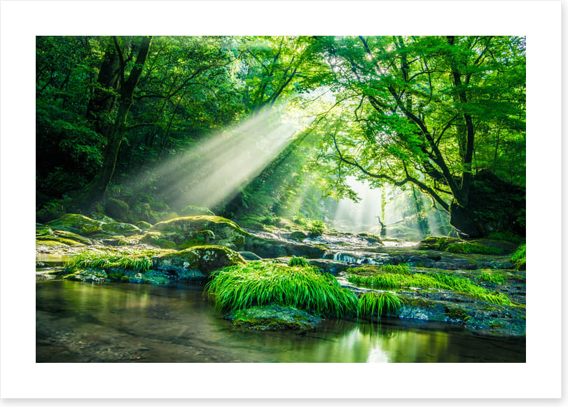 Streaming sunbeam