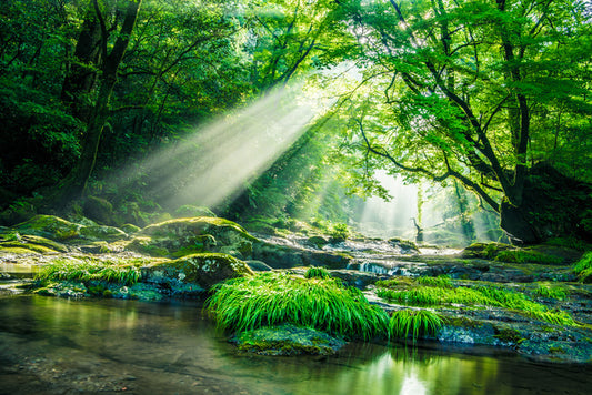 Streaming sunbeam
