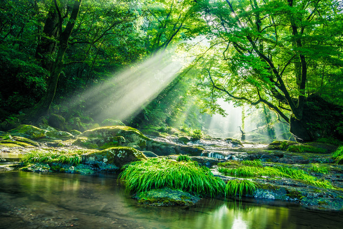 Streaming sunbeam