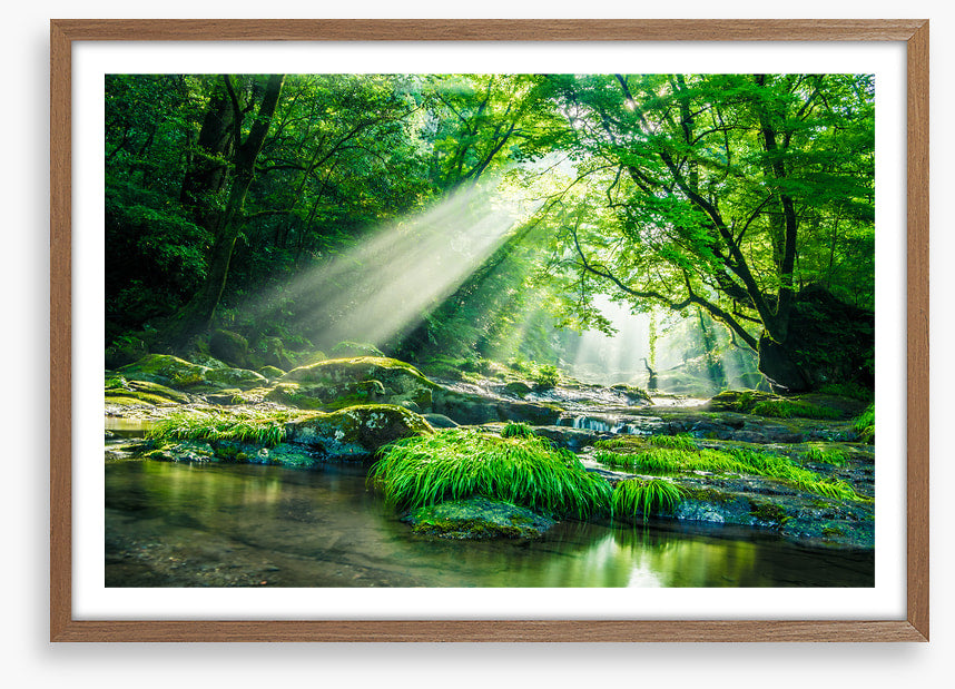 Streaming sunbeam
