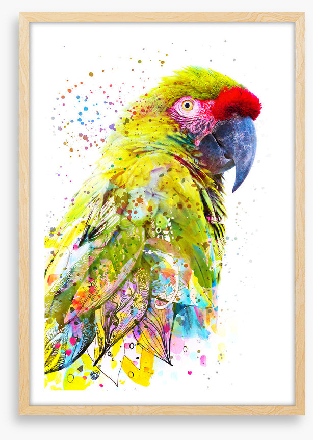 Party plumage I