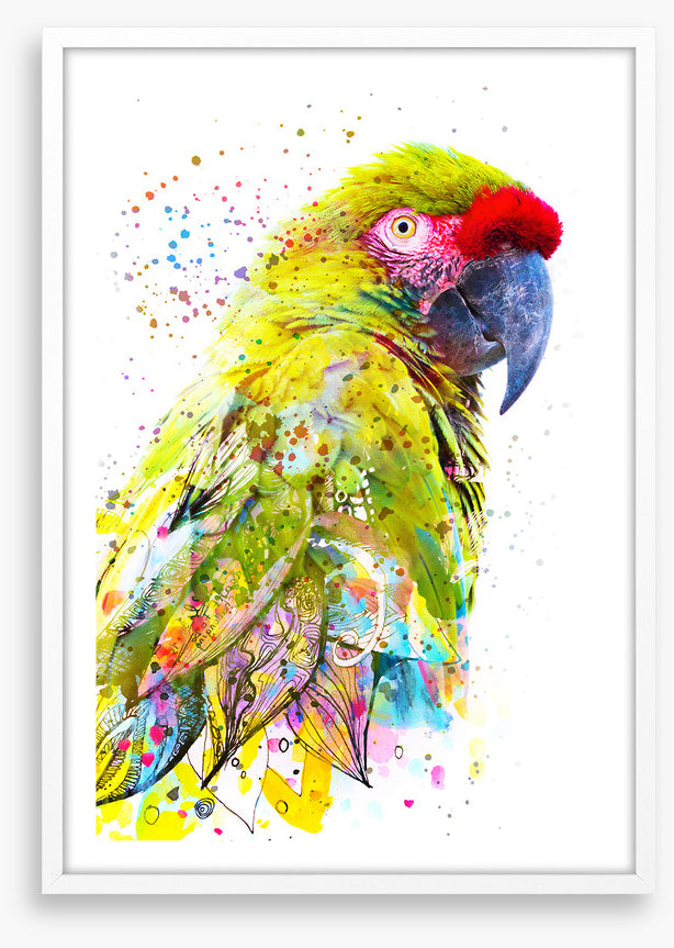 Party plumage I
