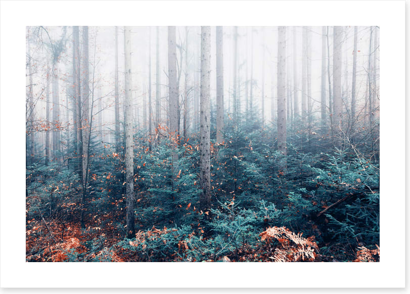 Blowing in the mist