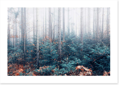 Blowing in the mist