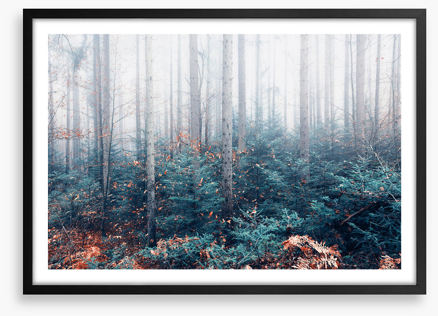 Blowing in the mist