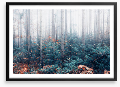Blowing in the mist
