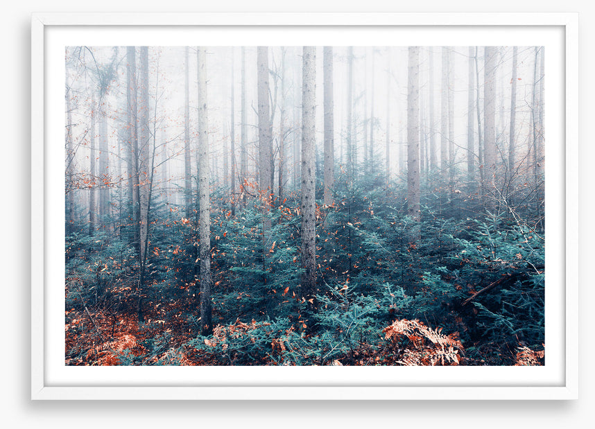 Blowing in the mist