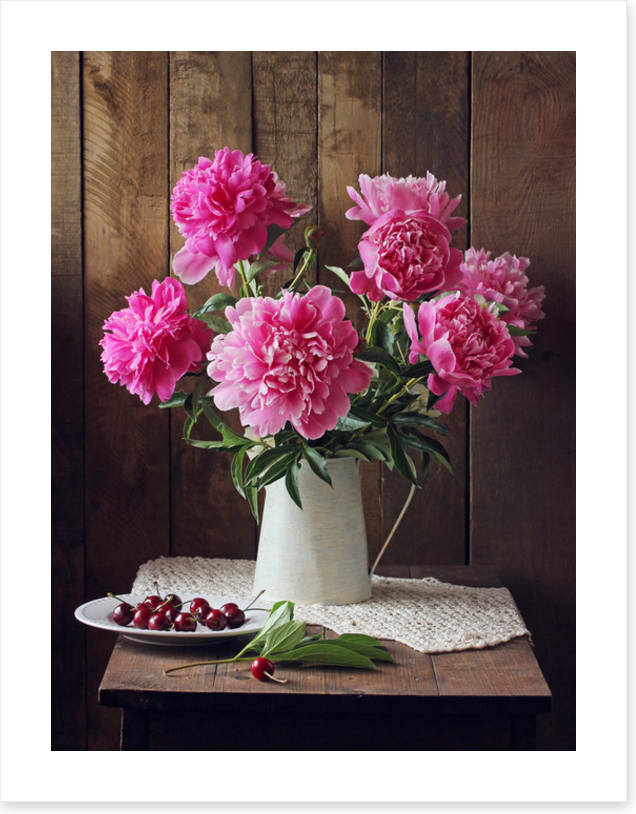 Still Life