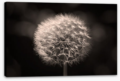 Before the breeze