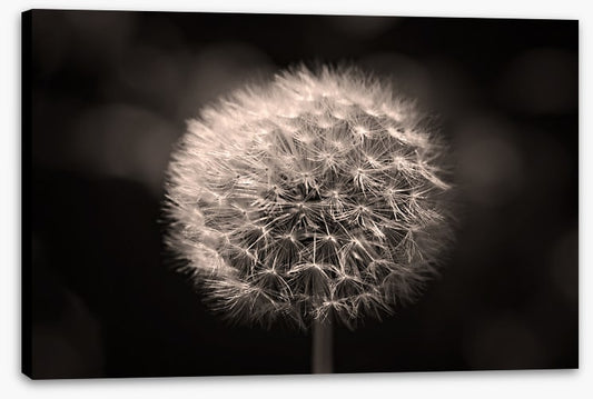 Before the breeze