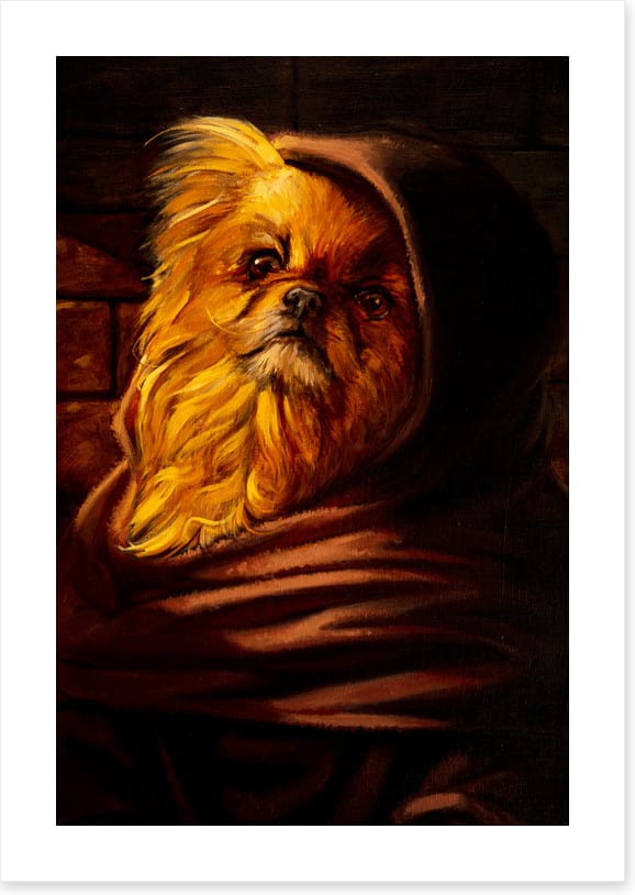 Shih Tzu in disguise