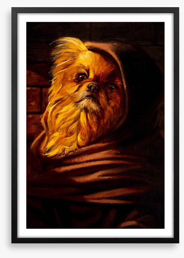 Shih Tzu in disguise
