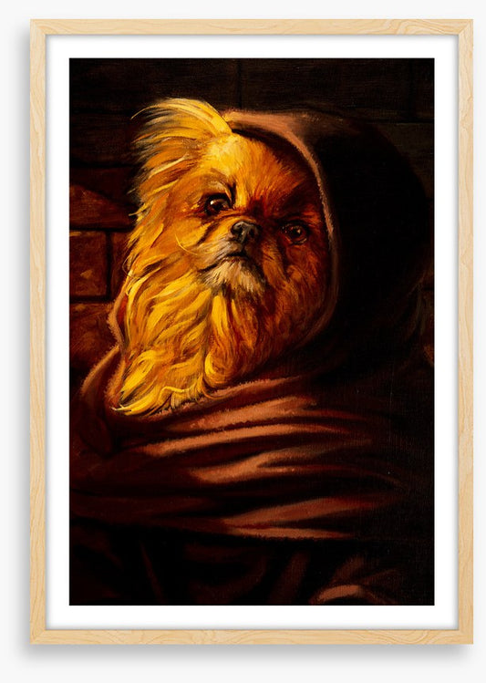 Shih Tzu in disguise