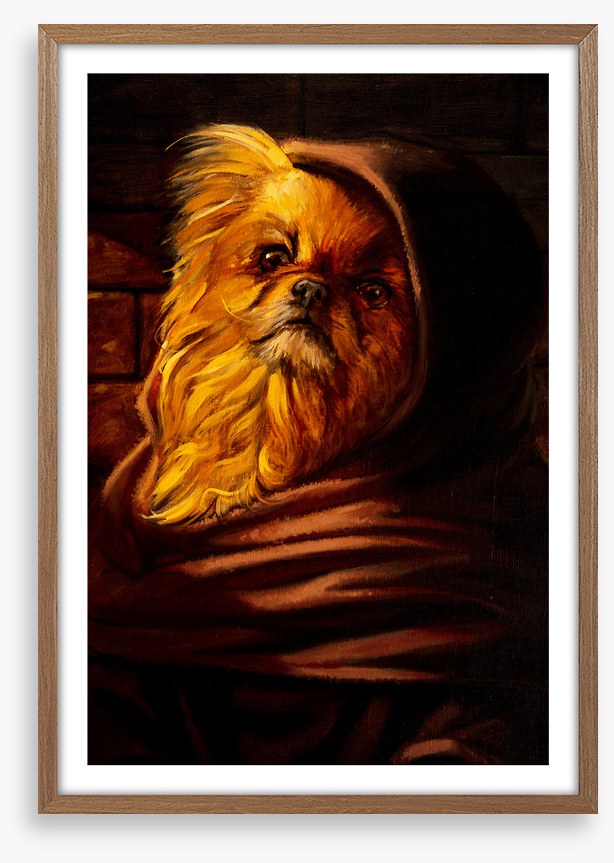 Shih Tzu in disguise