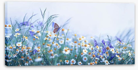 Chamomile flutter