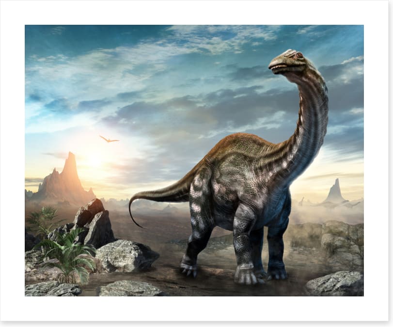 Apatosaurus