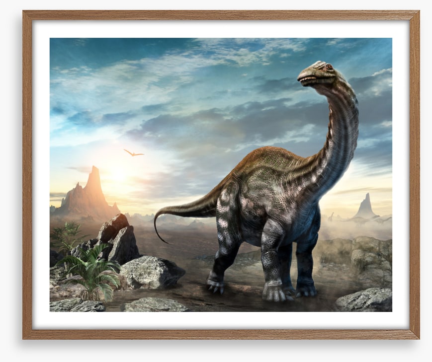 Apatosaurus