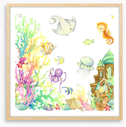 Hide and seaweed