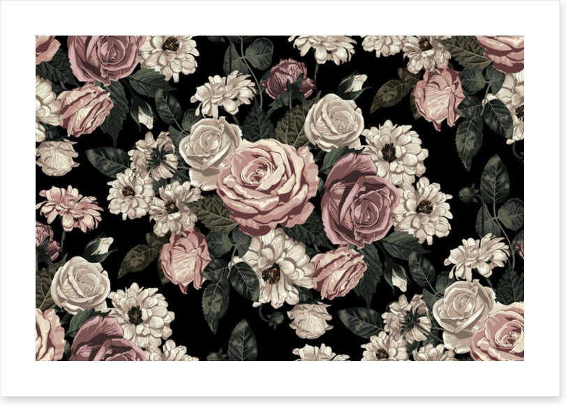 Midnight rose