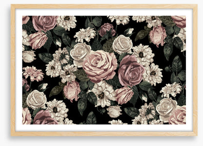 Midnight rose