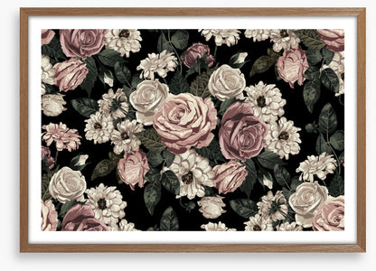 Midnight rose