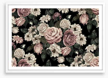 Midnight rose