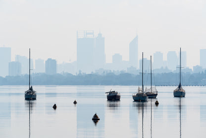 Swan River sailboats
