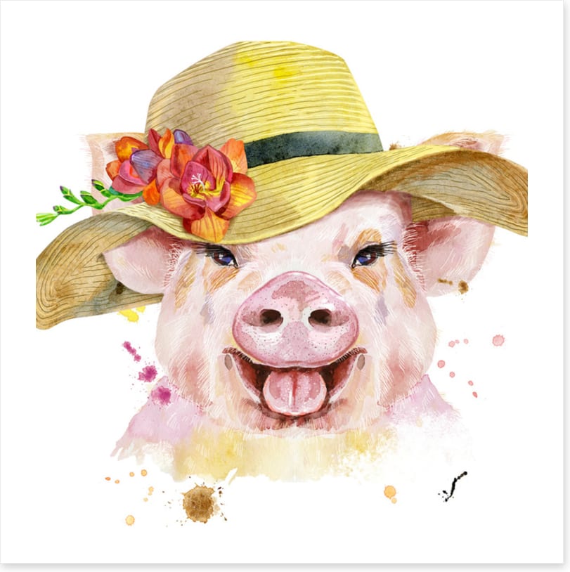 This little piggy