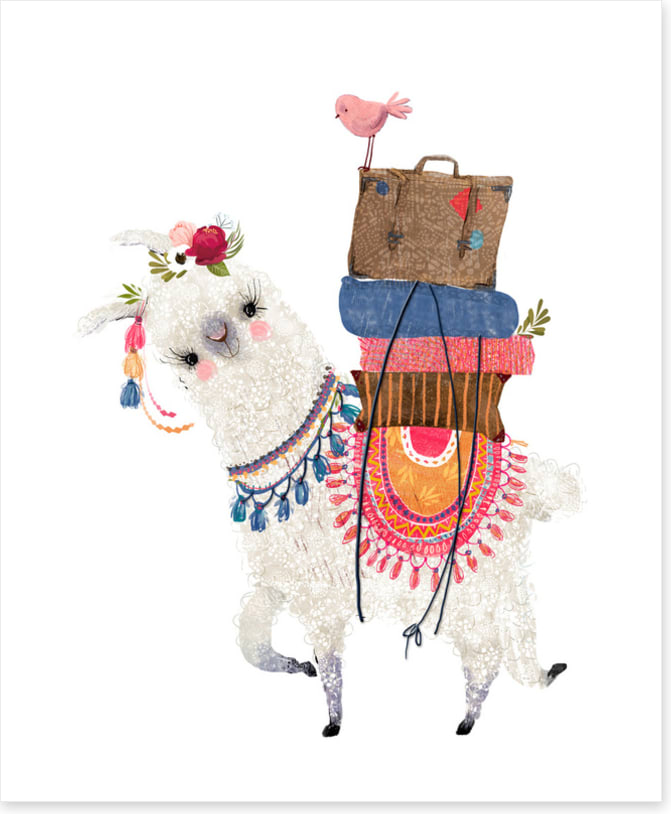 Alpaca packed