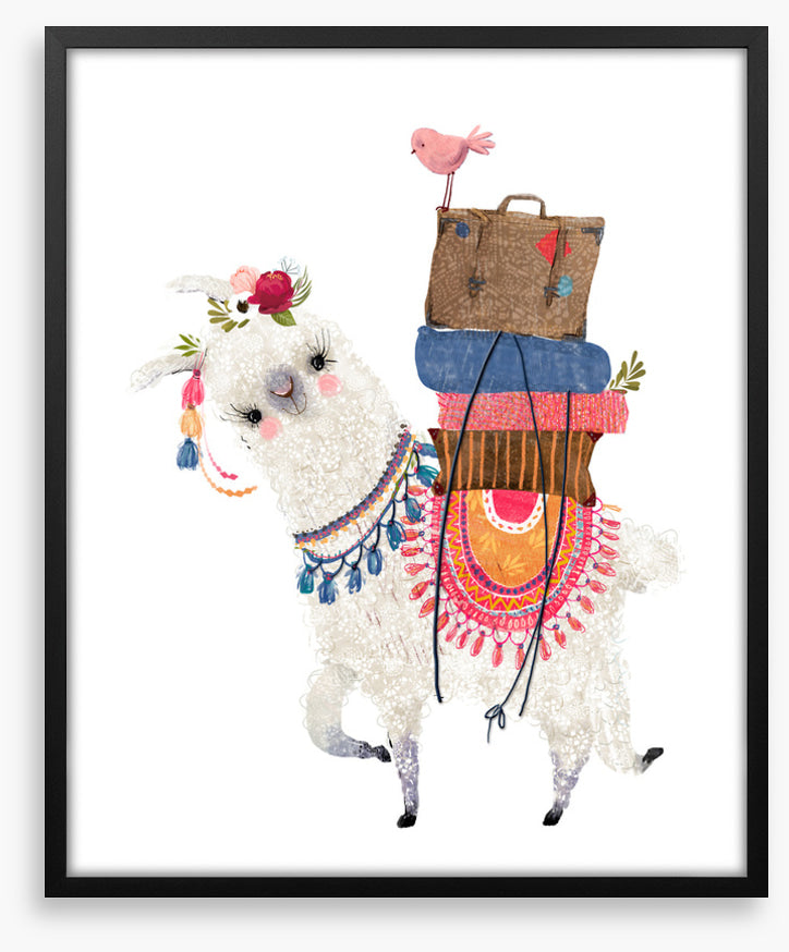 Alpaca packed