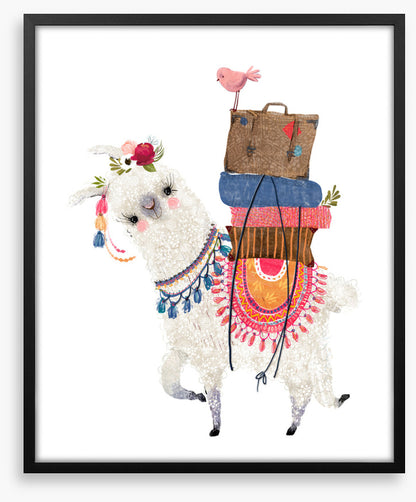 Alpaca packed
