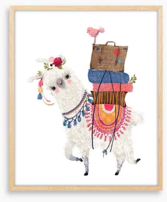 Alpaca packed