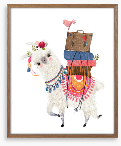 Alpaca packed