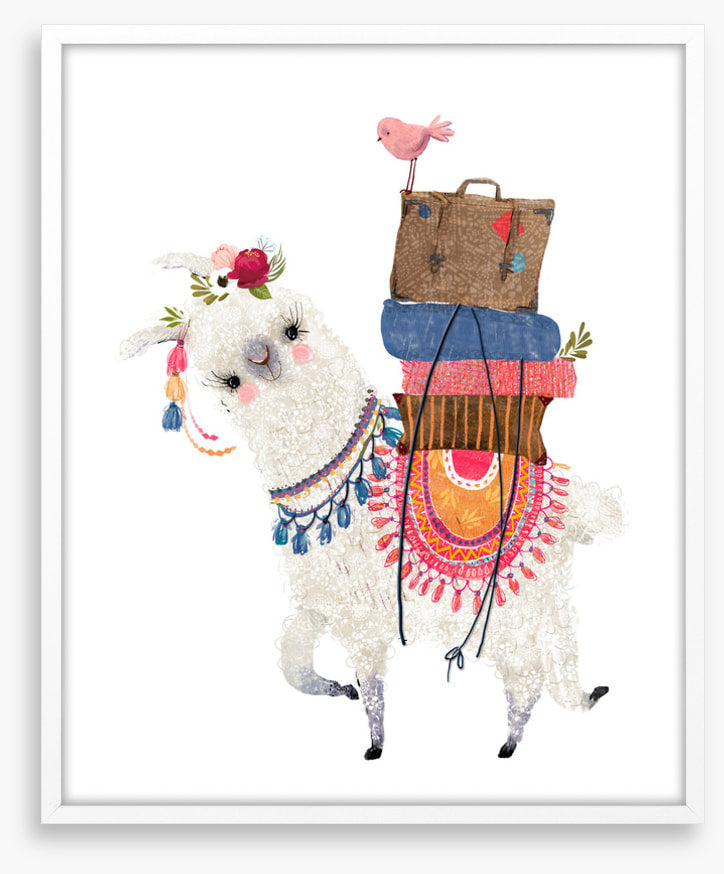 Alpaca packed