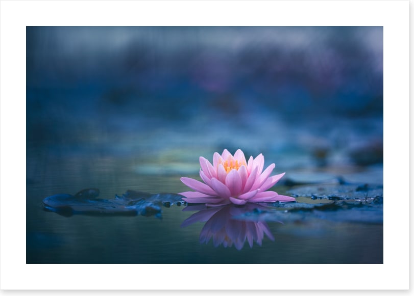 A peaceful moment