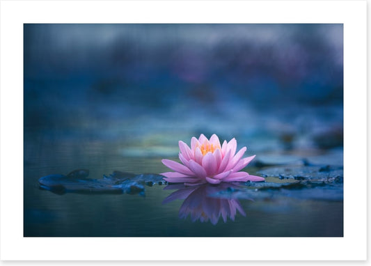 A peaceful moment