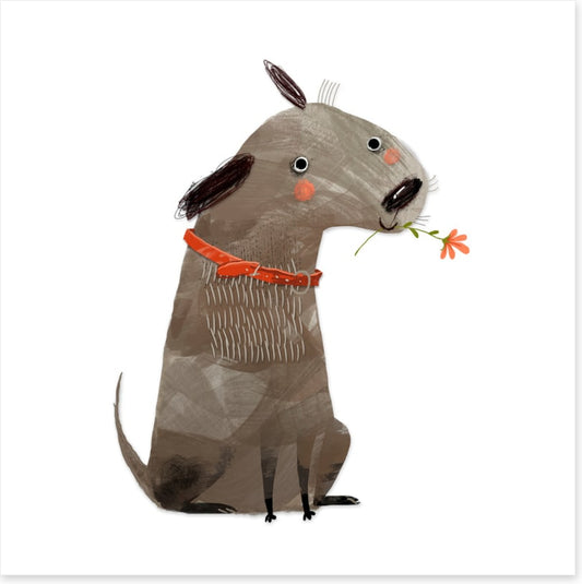 Animal Friends