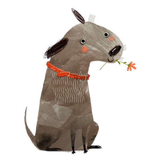 Animal Friends