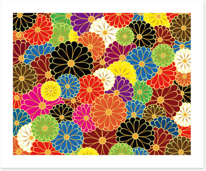 Chrysanthemum craze