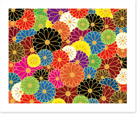 Chrysanthemum craze