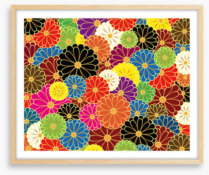 Chrysanthemum craze