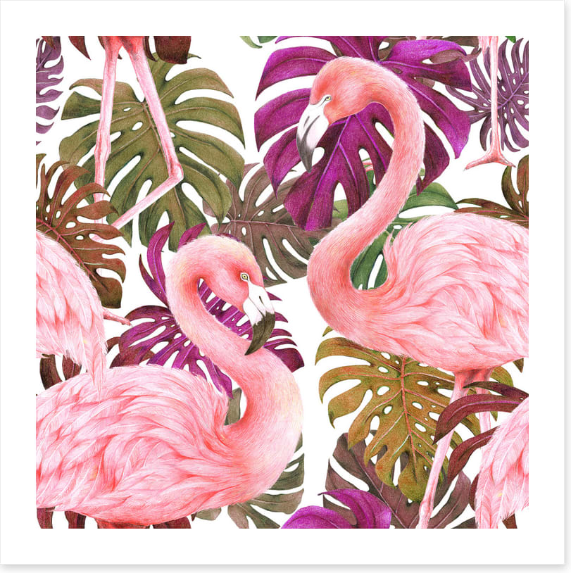 Flamingo dawn