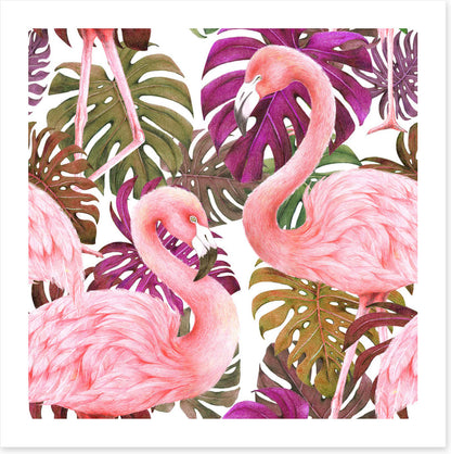 Flamingo dawn
