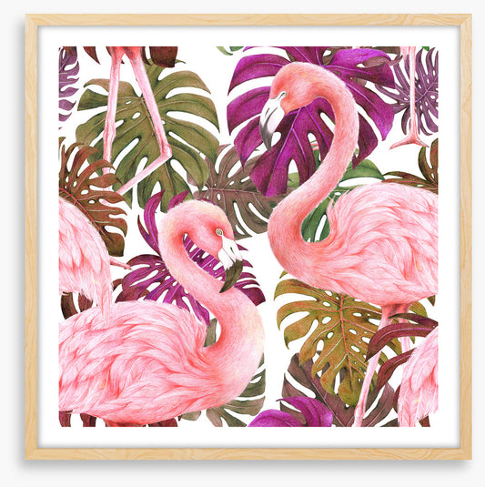 Flamingo dawn