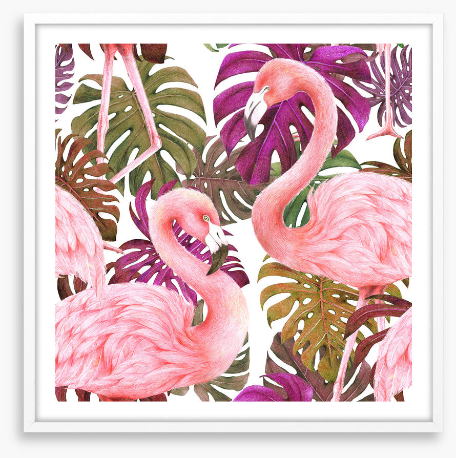 Flamingo dawn
