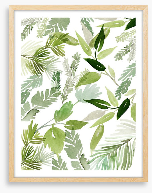 Leaves of green