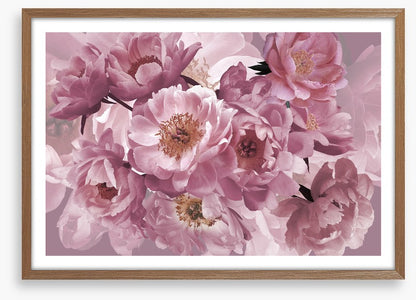 Peony pinks