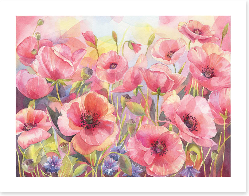 Pink poppy sunshine