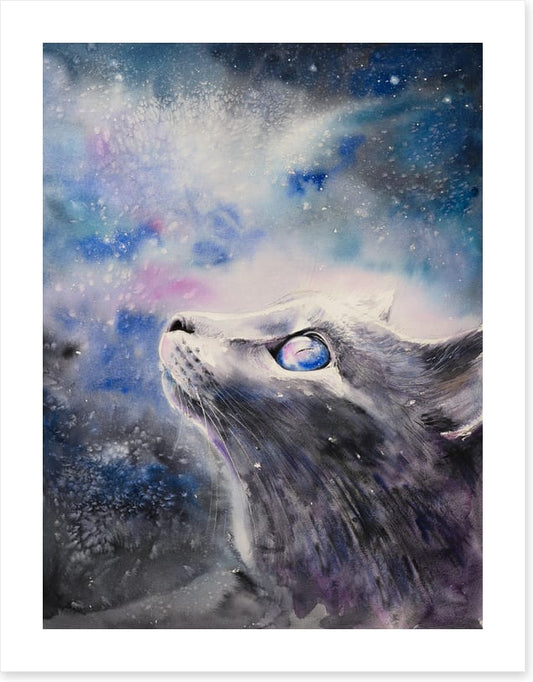 Cosmic cat