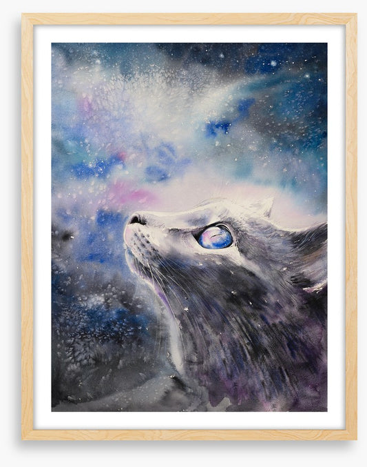 Cosmic cat